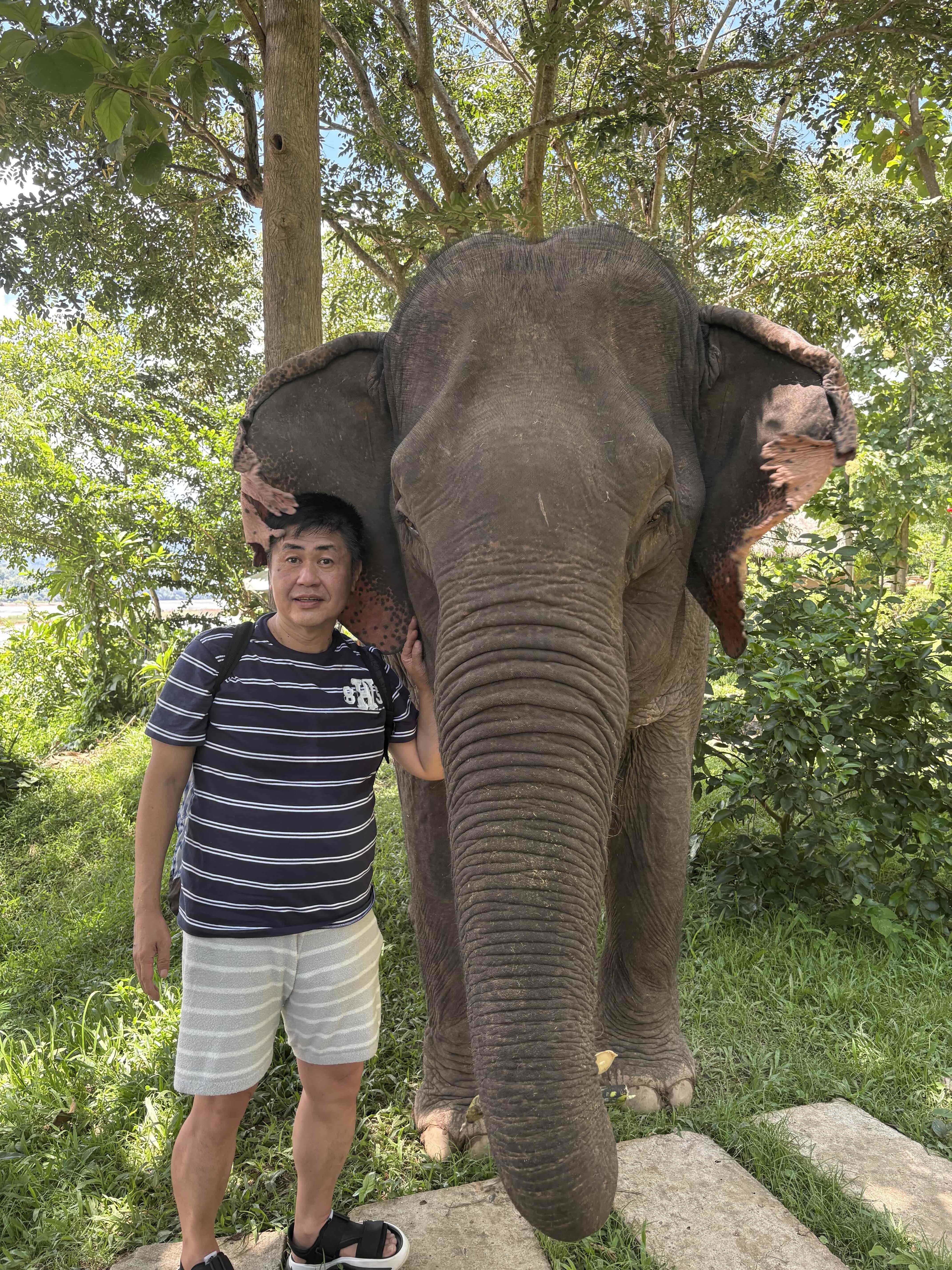 学習により実用的で有用な知識を得ることができた。